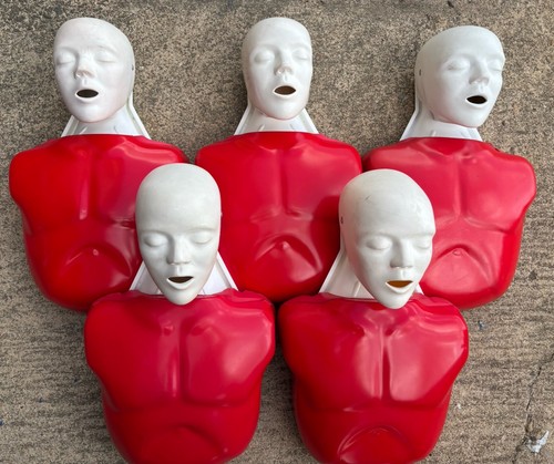 Nasco lifeform basic buddy - lifeform,